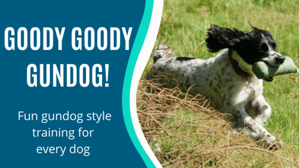 Goody Goody Gundog (Advanced)