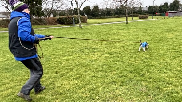 Nosework Ninjas - 3 hour session 