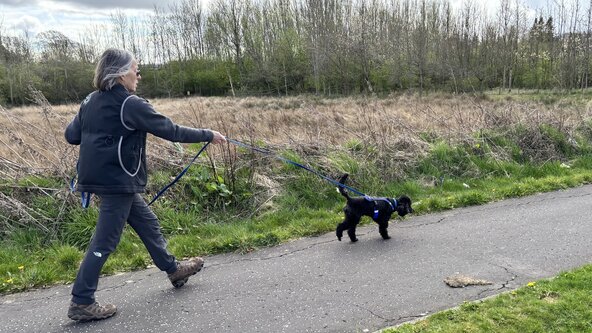 Nosework Ninjas (Mantrailing) - 2 hour session 