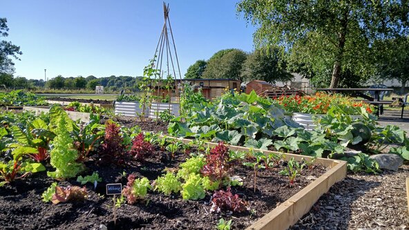 Woodcraft for Wellbeing