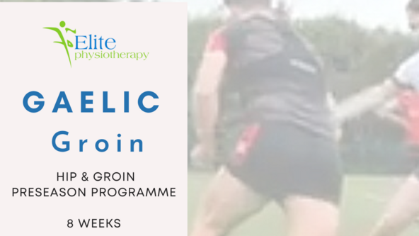 Gaelic Groin Programme