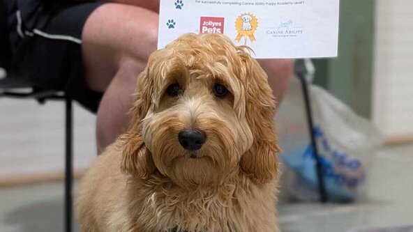 Puppy Academy Level 1 (21/04)