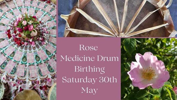 Rose medicine drum birthing day - Sussex 