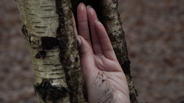 ROUGH IDEA (on Wildness, Blackness and Greenness) | Doing Day with Amy Lawrence and Jemima Yong