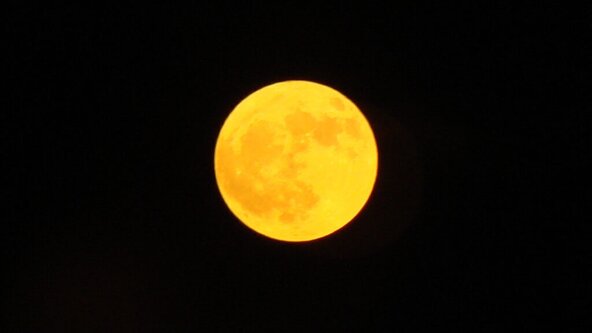 Autumn Moon Festival 
