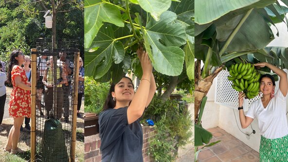 Fruity Walks: discovering orchards around SDS