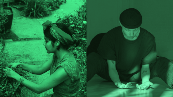 Queer Ecology : noticing, feeling, moving