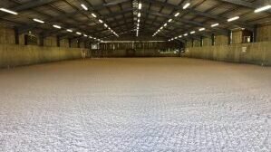Equidance Freestyle Clinic at Aike Grange Stud, Driffield, Yorkshire