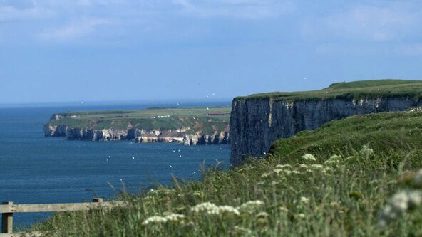 May Day at Flamborough