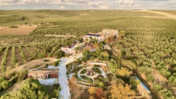 7-Day Yoga Retreat in Andalusia, Spain - Unveiling Your Potential