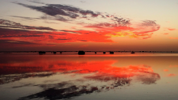 I L L U M I N A T E  - A Yoga Day Retreat at Ballymaloe Grainstore with Dearbhla and Nikki