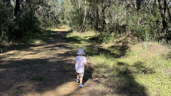 Mini Bush Adventure