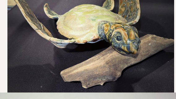 Turtle Workshop with Sarah 