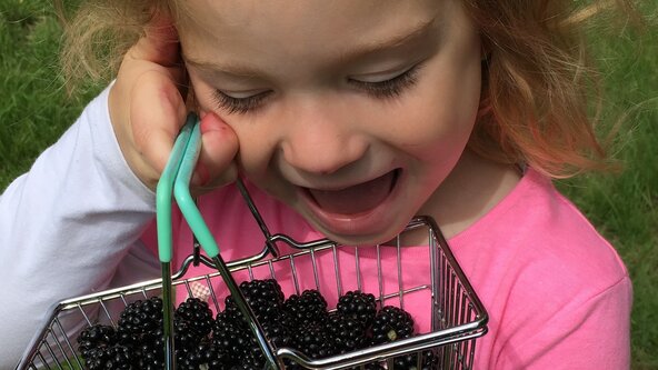 WAIT LIST - Parent and Toddler groups