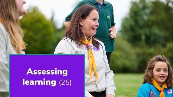 Assessing learning (25) (T / N / A) (Online)