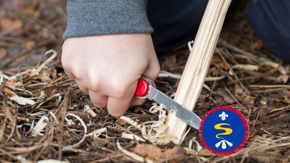 Scout Survival Skills Activity Badge