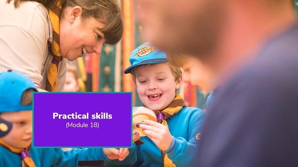 Practical skills (Online workshop)