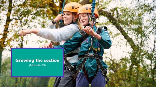 Growing the section (13) (Online workshop)