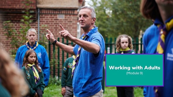 Working with adults (9) (Online workshop)