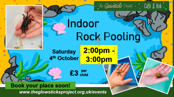 Indoor Rock Pooling