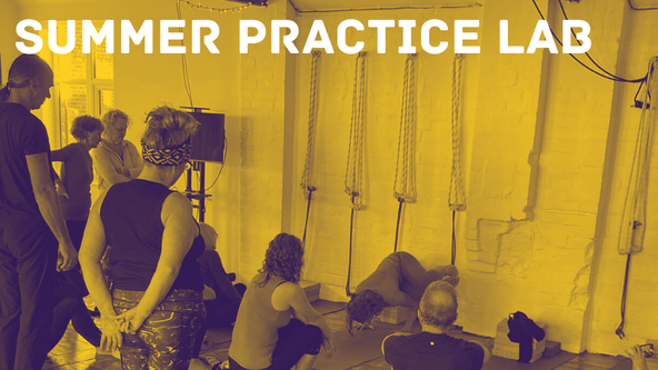 Practice lab on Twists & forward bends