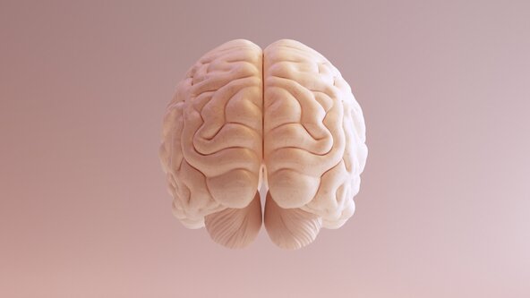 An Introduction to Somatic Movement