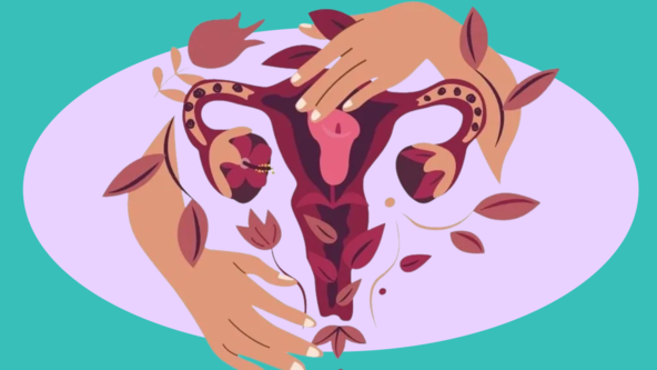 Navigating Menopause