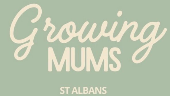 Nobody Told Me: Real Talk About Your Postnatal Body with Growing Mums - St Albans 