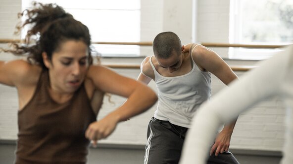Mad Dogs Dance Theatre — 3 Day Intensive