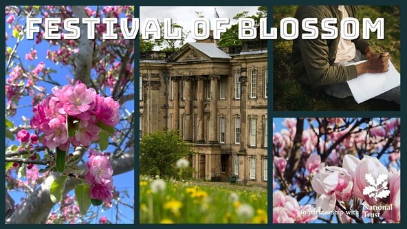 Festival of Blossom at Calke Abbey