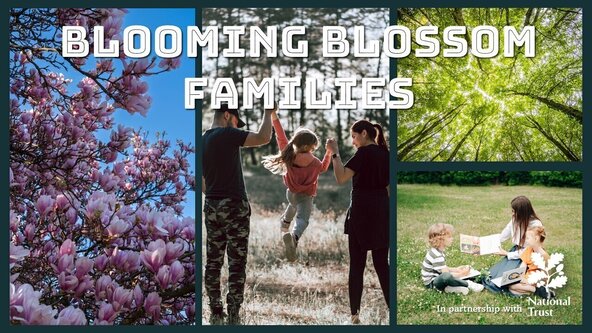 Festival of Blossom - Blooming Blossom Families