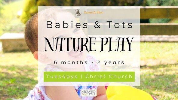 Babies & Tots Nature Play - at Christ Church (Taster Session) 