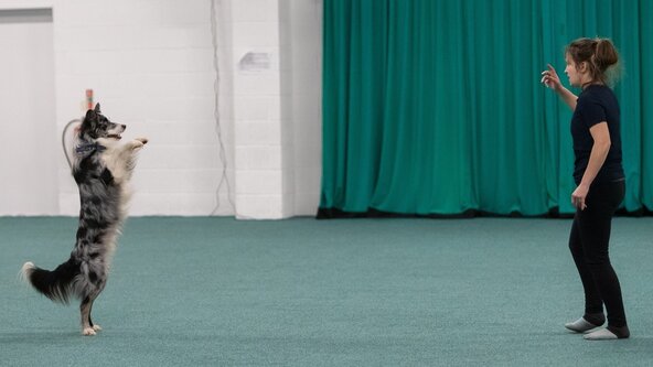 Heelwork To Music - Vay Coltrose Workshop 