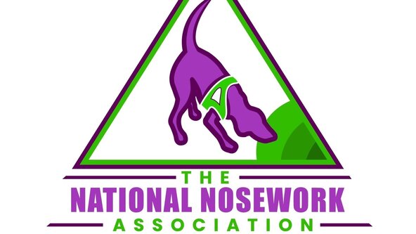 NNA Pre Entry Interior Focus Trial 