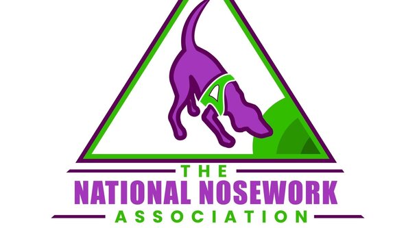 NNA Entry Level Focus Exterior Trial - Ludlow Racecourse 