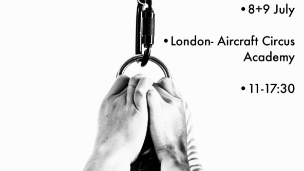 beginners and advance Hair suspension workshop