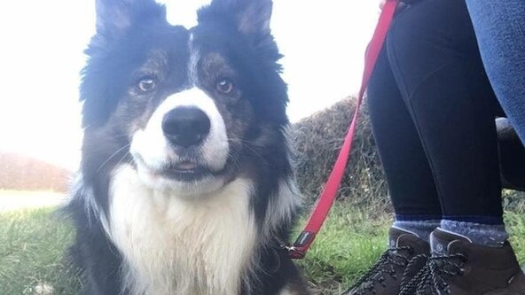 Training Walk - Savile Park