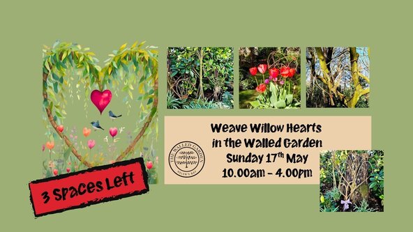Weave Willow Hearts Workshop in the Walled Garden Sunday 17th May