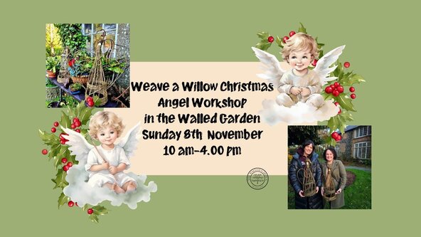 Weave A Willow Christmas Angel in the Walled Garden Sunday 8th November