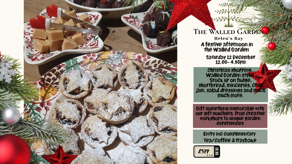 🎄 A Festive Afternoon in the Glasshouse at the Walled Garden Helen's Bay 🎄