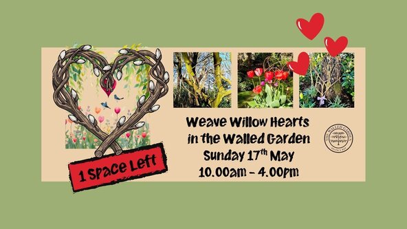 Weave Willow Hearts Workshop in the Walled Garden Sunday 17th May