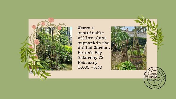 Weave a Willow Garden Plant Support in the Walled Garden