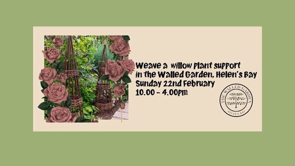 Weave a Willow Flower Support in the Walled Garden Sunday 22 February 2026