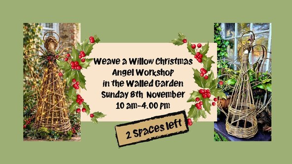 Weave A Willow Christmas Angel in the Walled Garden Sunday 8th November