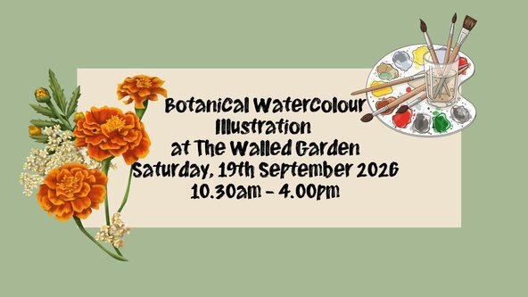 Botanical Watercolour Illustration at The Walled Garden, Helen’s Bay Saturday 19th September  2026