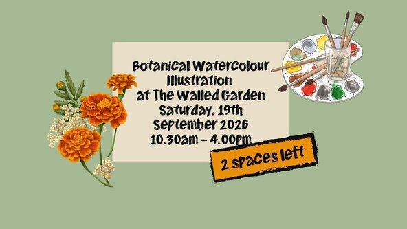 Botanical Watercolour Illustration at The Walled Garden, Helen’s Bay Saturday 19th September  2026
