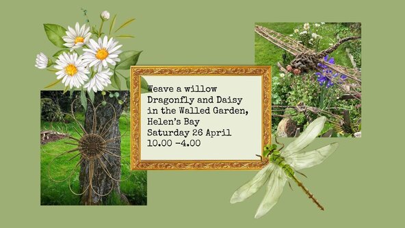 Weave a Willow Dragonfly and Daisy in the Walled Garden Sat 26 April 