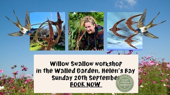 Weave Willow Swallows in the Walled Garden Sunday 20th September 2026 
