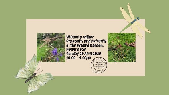 Weave a Dragonfly and Butterfly Workshop  in the Walled Garden, Sunday 26th April 2026