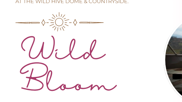 Wild Bloom. A yoga & nature retreat at Morningside Farm. 